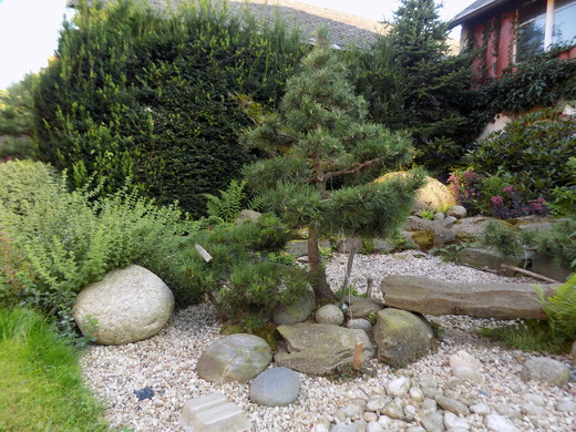 DSCN0015.JPG