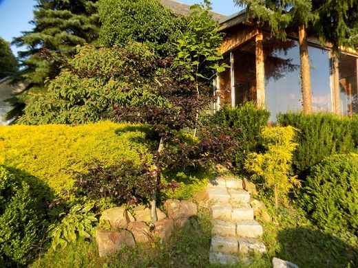DSCN0018.JPG