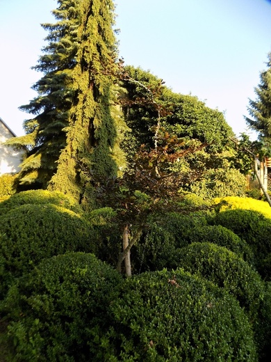DSCN0019.JPG