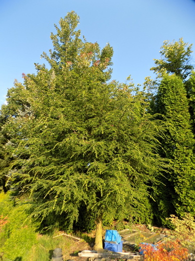DSCN0020.JPG