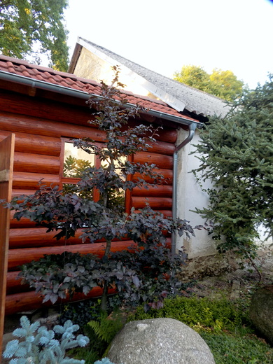 DSCN0041.JPG