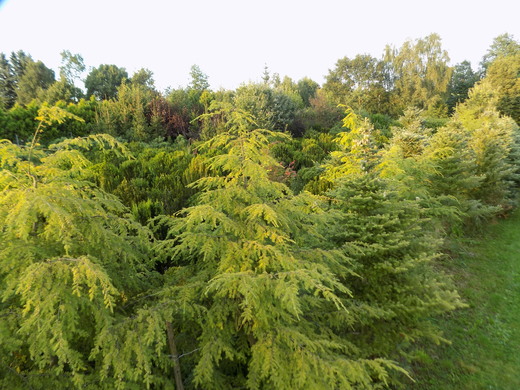 DSCN0048.JPG