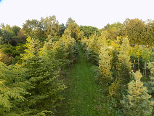 DSCN0049.JPG