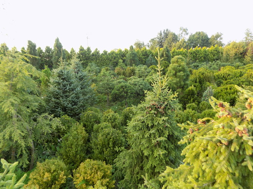 DSCN0051.JPG