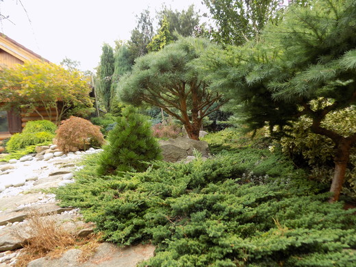 DSCN0190.JPG