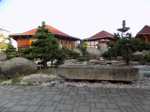 DSCN0200.JPG